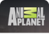 Animal Planet 