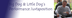 Instructional Design