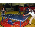 LSE-Ping pong o tenis de mesa