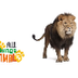 LIONS: Animals for children. K