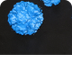 Infectious Pathogens by educat