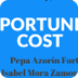 EXAMPLES OF OPPORTUNITY COST