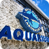 Aquarium Webcams | Mote Marine