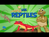 Los Reptiles | Vídeos Educativ