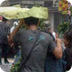 Hurricane Damages