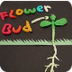 From a Seed to a Flower - Safe