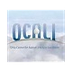 OCALI Apps for Transition