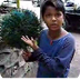 Lingo Kid- Talented Indian Kid