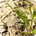 U.S. Drought Monitor