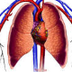 Habits of the Heart
