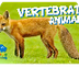 Vertebrate Animals | Education