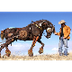 Scrap Metal Sculpture