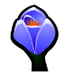 Spring Winds