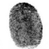 Fingerprints 5