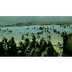 D-Day Invasion Clip