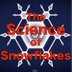 The Science of Snowflakes - Yo