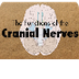 Cranial Nerves
