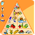 ALIMENTOS. TIPOS