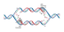 National Human Genome Resea...