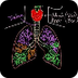 Meet the lungs | Lung Introduc