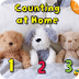 Counting at Home