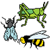 INSECTOS