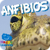 Los Anfibios | Videos Educativ