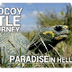 Morrocoy Turtle Journey. Parad