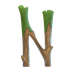 NUNU SPIRITS - The Greenest NF