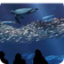 Monterey Bay Aquarium – Offici