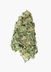 Durban Poison - Discount Sativ
