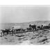 wagon train- 