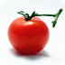 Cuándo sembrar los tomates - 1