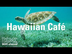 Hawaiian Cafe: Caribbean, Trop