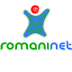 Romaninet