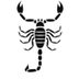 Scorpion Video