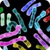 DNA Science Blog