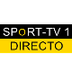 sport-tv 1