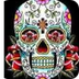 Day of the Dead facts
