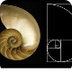 PROPORCIÓN AUREA EN EL ARTE
