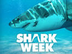 Shark Cams | Shark Week | Disc