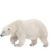 Polar Bear 2