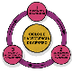 CICLO DE LA VIOLENCIA