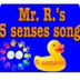 5 senses sing-a-long - Safesha