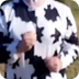  la vache (parodie gangnam)