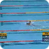 World's Worst Olympic Swimming