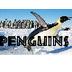 All About Penguins for Kids