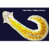 Planaria (flatworm) moving