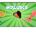 Molluscs | Educational Video 