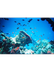 Marine ecosystem - Wikipedia,